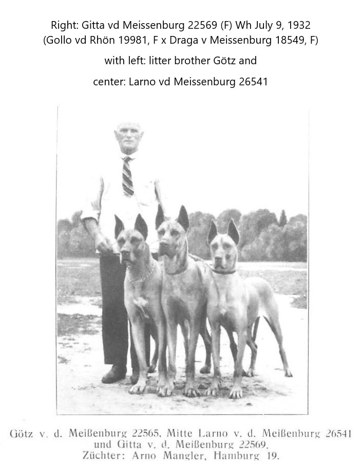 Gotz vd Meissenburg